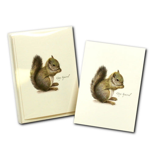 Gray Squirrel Boxed Notecards