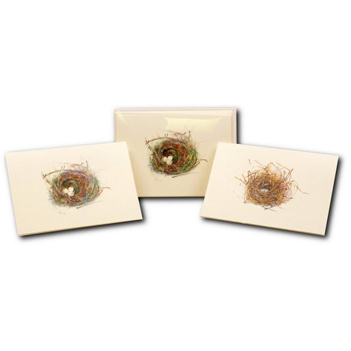 Eggs in Nest Notecards