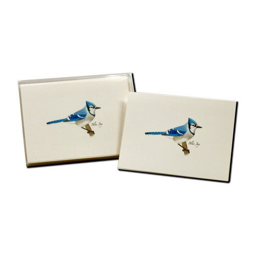 Blue Jay Notecards