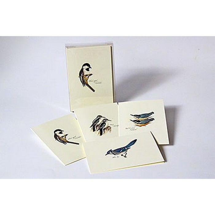 Peterson Bird Notecard Assortment III (2 each of 4 styles)