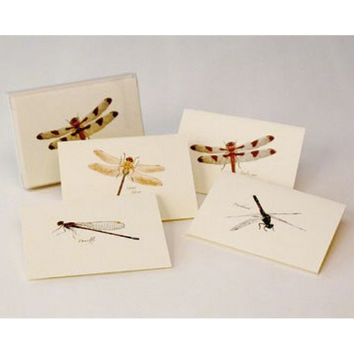 Dragonfly Notecard Assortment (2 each of 4 styles)