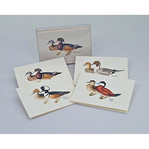 Duck Notecard Assortment (4 each of 2 styles)