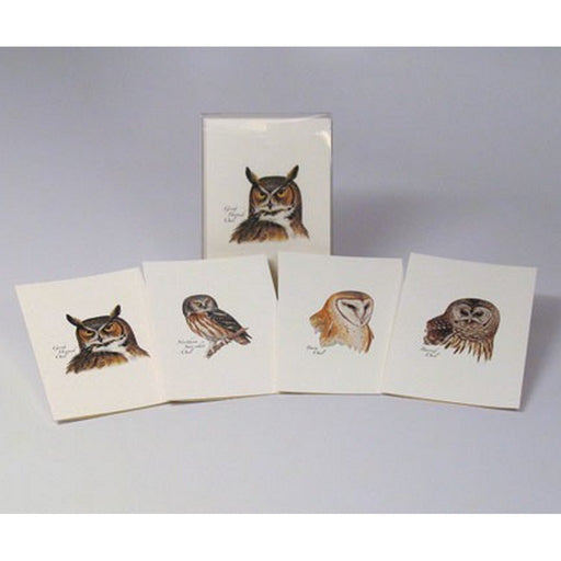 Peterson's Owls Notecard Assortment (2 each of 4 styles)