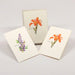 Wildflower Assortment Notecards (2 each of 4 styles)