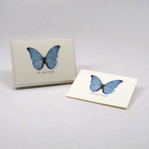 Blue Morpho Butterfly Notecards