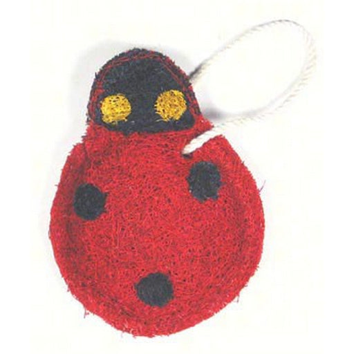 Ladybug