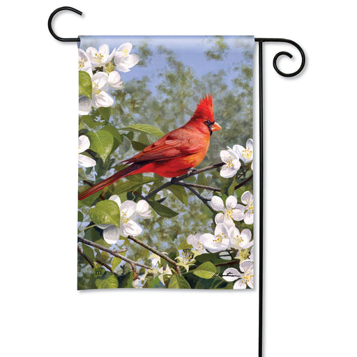 Cardinal Blossoms Garden Flag