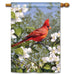 Cardinal in Blossoms Standard Flag
