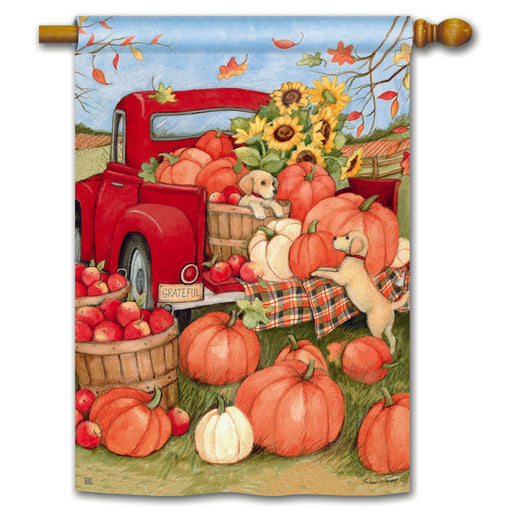 Pumpkin Delivery Standard Flag