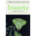 Insects