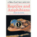 Reptiles & Amphibians