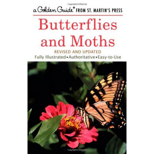 Butterflies & Moths