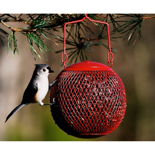 Red Seed Ball