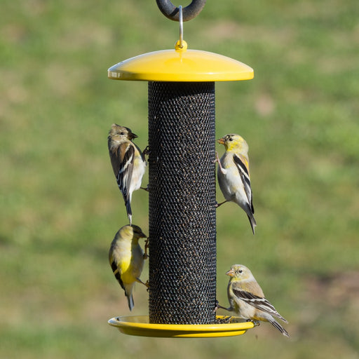 Shorty Finch Feeder (must order in 2's)