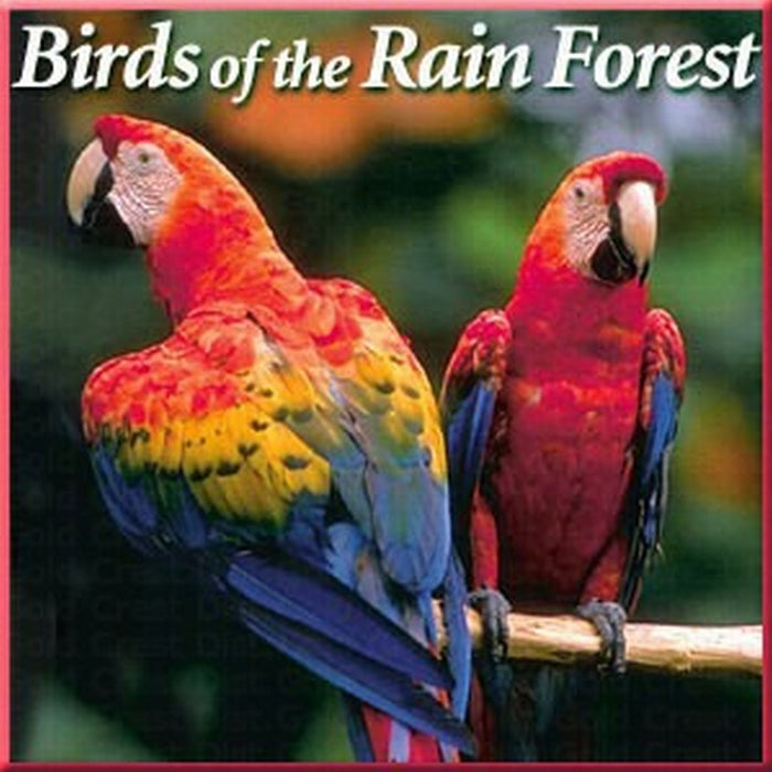 Birds of the Rain Forest CD