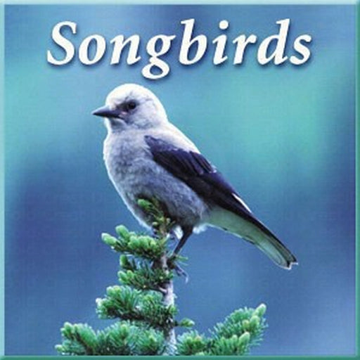 Songbirds CD