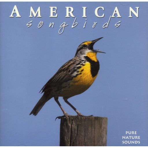 American Songbirds CD