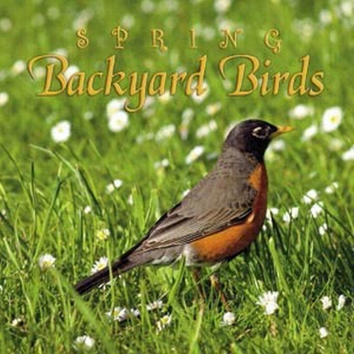 Spring Backyard Birds CD
