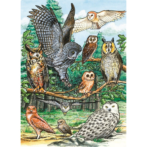 North American Owls Tray Puzzle 35 piece Puzzle
