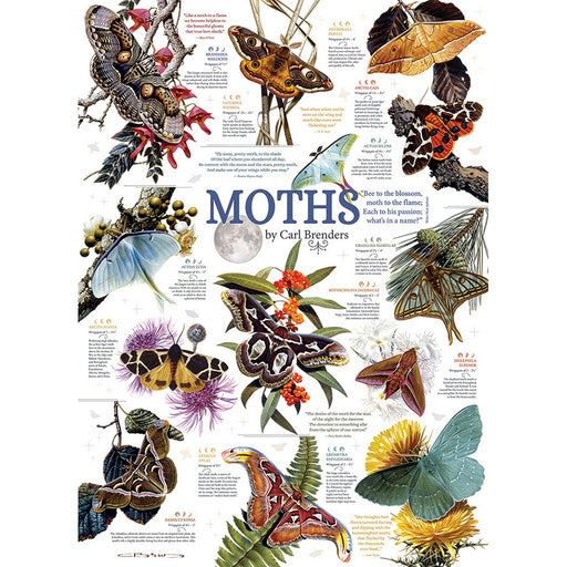 Moth Collection 1,000 pc Puzzle