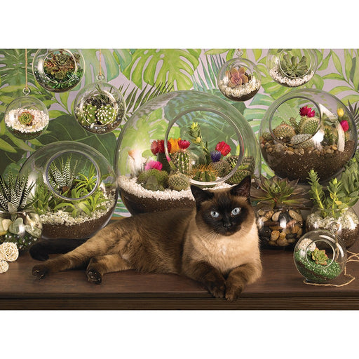 Terrarium Cat 1000 pc Puzzle