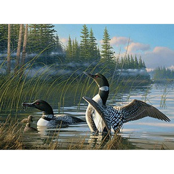 Common Loons 1000 pieces