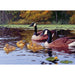 Platts Pond 1000 pc puzzle