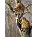 Ringtail Raiders 1000 pc puzzle