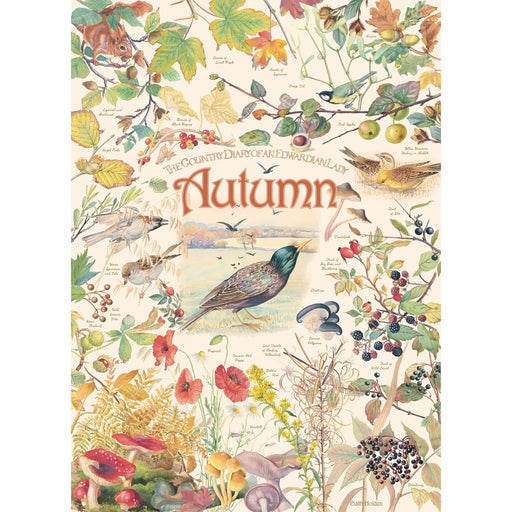 Country Diary: Autumn 1000 pc puzzle
