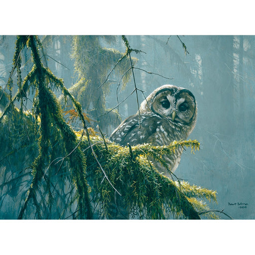Spotted Owl Mossy Branches 500 pc Puzzle