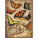 Backyard Butterflies 500 pc Puzzle