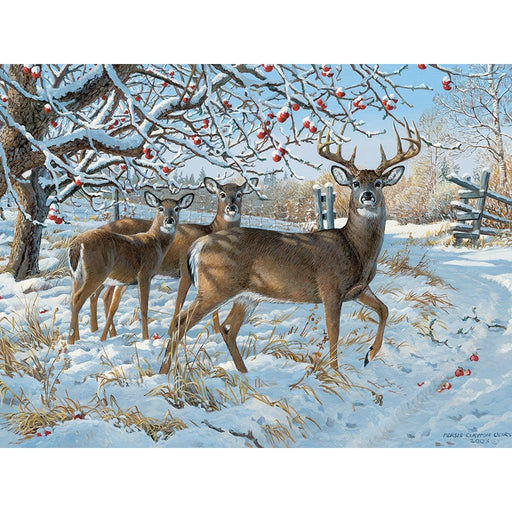 Winter Deer 500 pcs