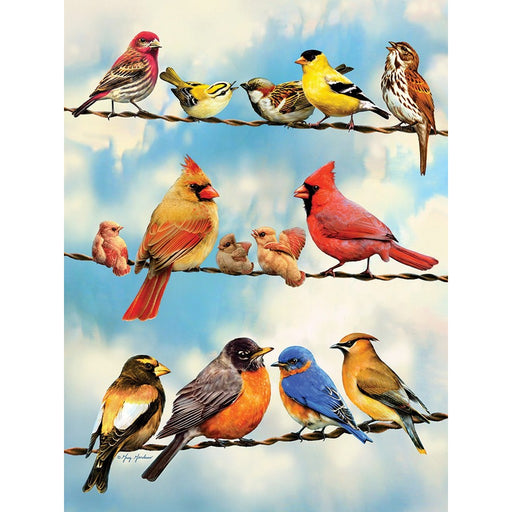 Birds on a Wire 500 pcs