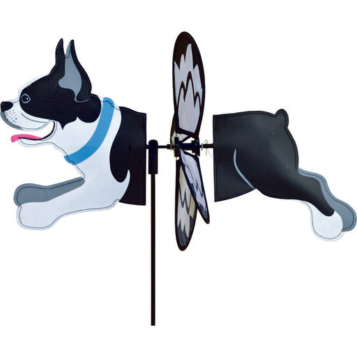 Petite Spinner - Boston Terrier