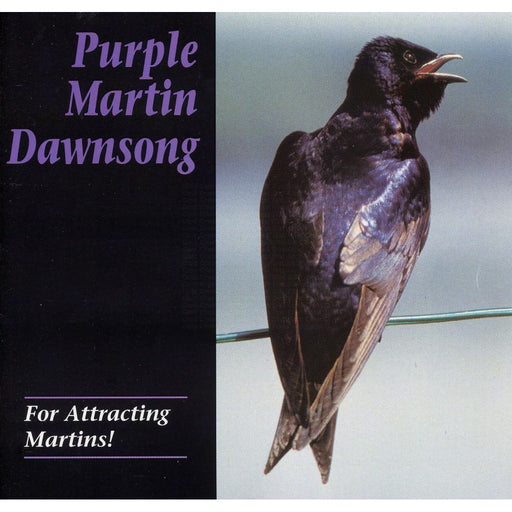 Dawn Song CD Purple Martin Attractors