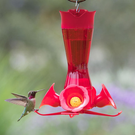 Pinch Waist Red Glass Feeder