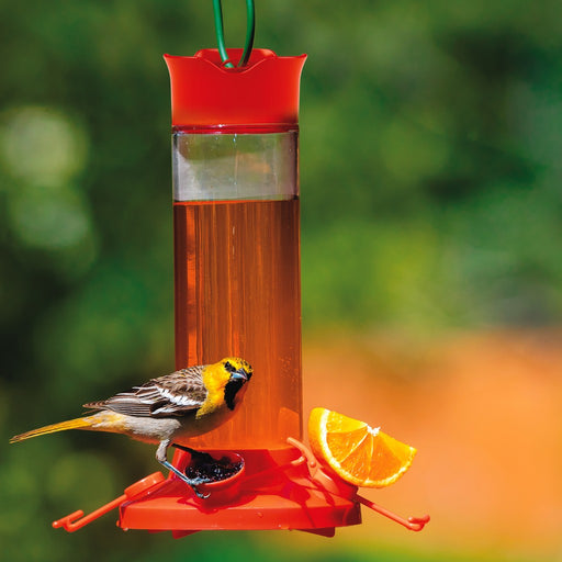 Glass Oriole Feeder (must order in 4's)