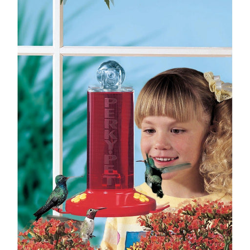 Window Feeder 8 oz