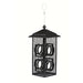 Fly-Through Feeder