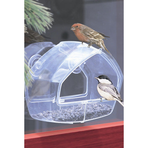 Clear Window Feeder