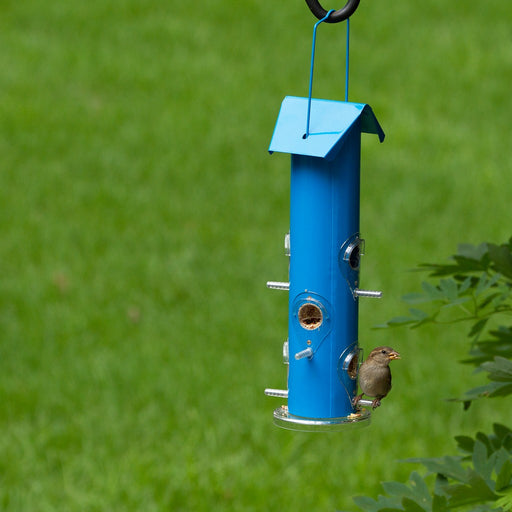 Blue 6 Port Seed Feeder