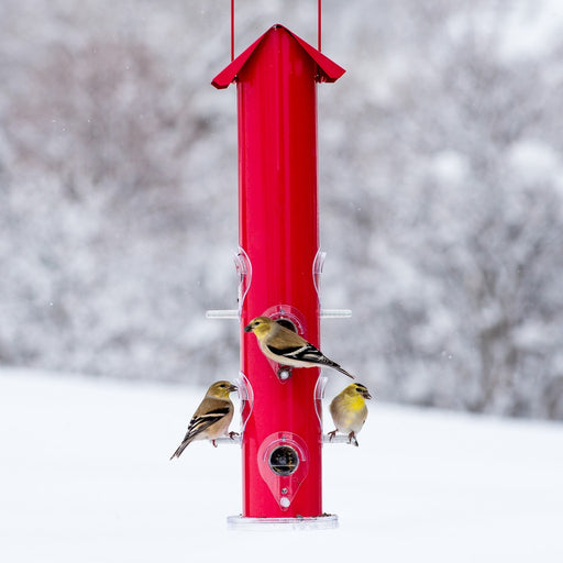 Red 8 Port Seed Feeder