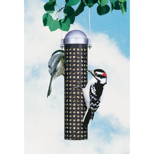 Sunflower Seed and Peanut Feeder