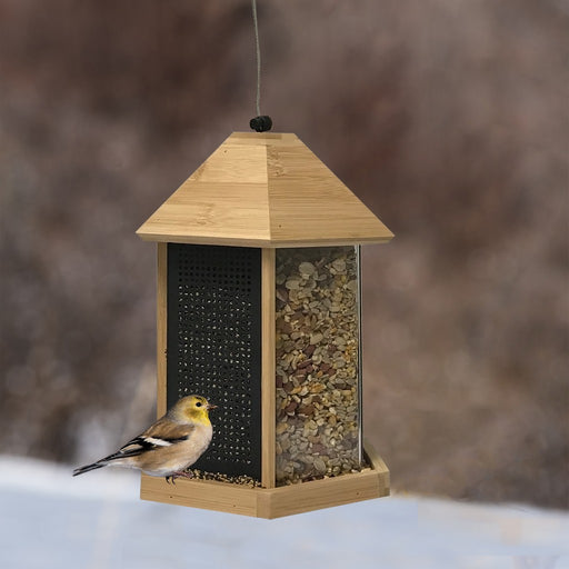 Trio Bamboo Feeder