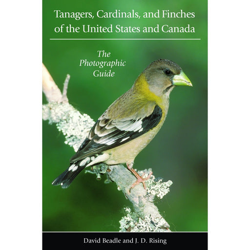 Tanagers, Cardinals, and Finch by David Beadle & J.D Rising