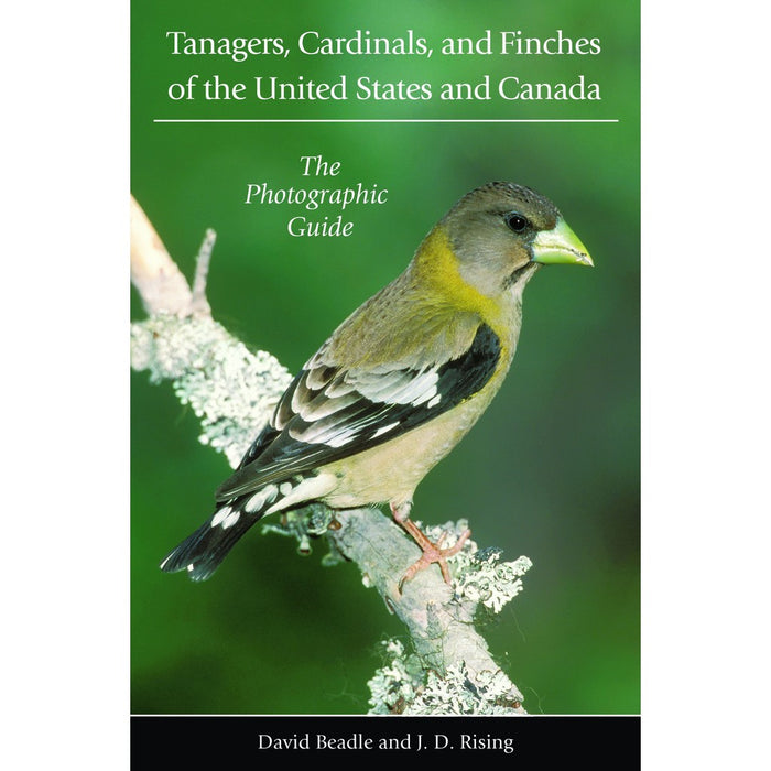 Tanagers, Cardinals, and Finch