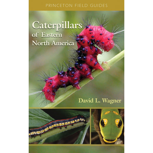 Caterpillars of Eastern North America by David L. Wagner