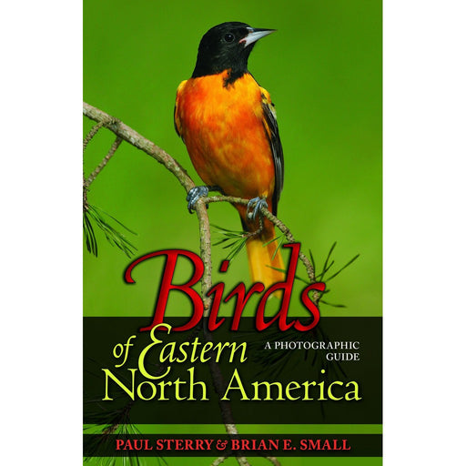 Birds of Eastern North America by Paul Sterry & Brian E. Small