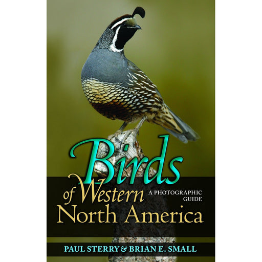 Birds of Western North America by Paul Sterry & Brian E. Small