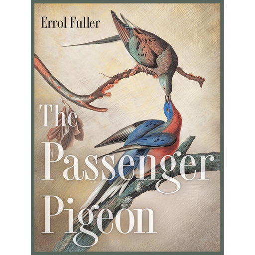 Passenger Pigeon by Errol Fuller